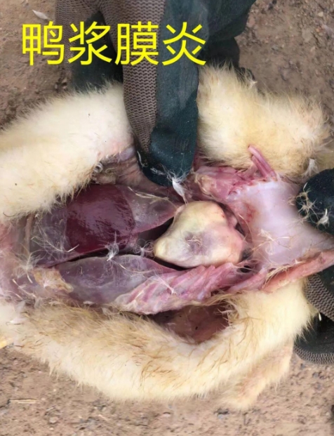 微信截圖_20260311091837.jpg 微信截圖_20260311091837.jpg