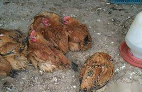 QQ圖片20260311100719.png QQ圖片20260311100719.png