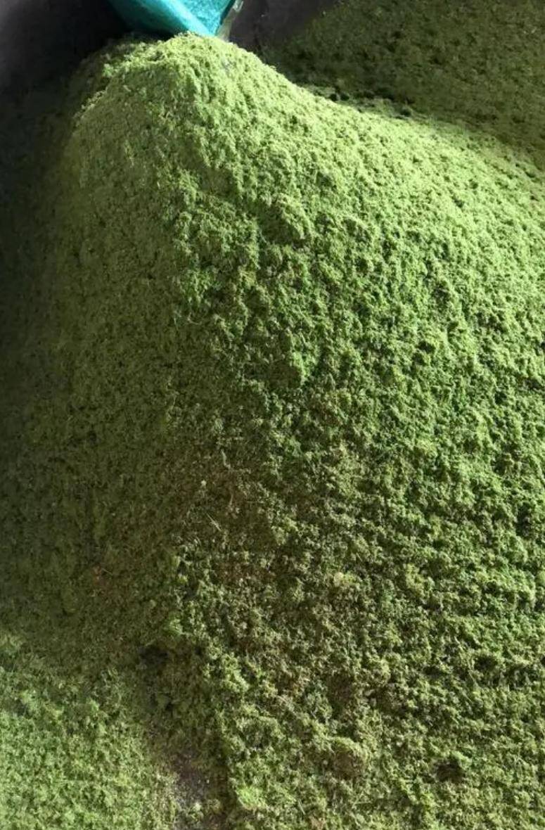 8a415e3dfdd2f0b3897e1961fb0a0a9a_720.jpeg 8a415e3dfdd2f0b3897e1961fb0a0a9a_720.jpeg