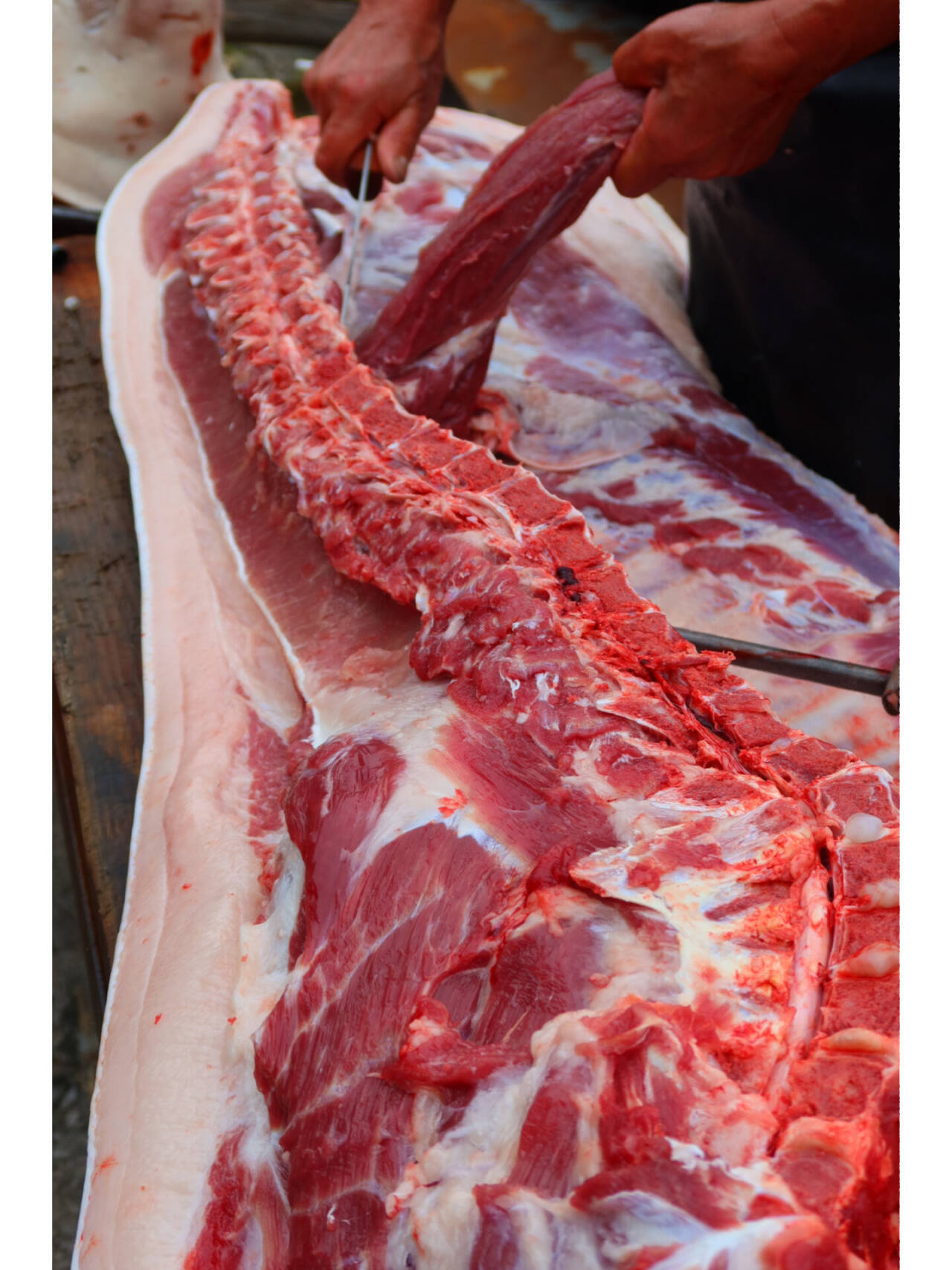 2cf468b85d99ab111ab6f5de42a2d156_720.jpeg 2cf468b85d99ab111ab6f5de42a2d156_720.jpeg