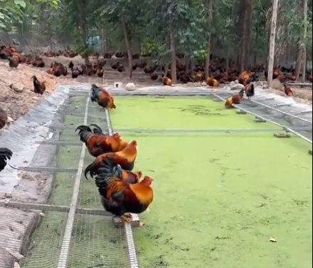 87678780dccf17c116af0aab7d0df060_17732129931583204.png 87678780dccf17c116af0aab7d0df060_17732129931583204.png