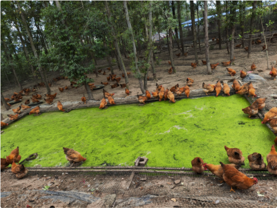 6adc3791c07024eab9e2b132586b71e6_17733028654982923.png 6adc3791c07024eab9e2b132586b71e6_17733028654982923.png