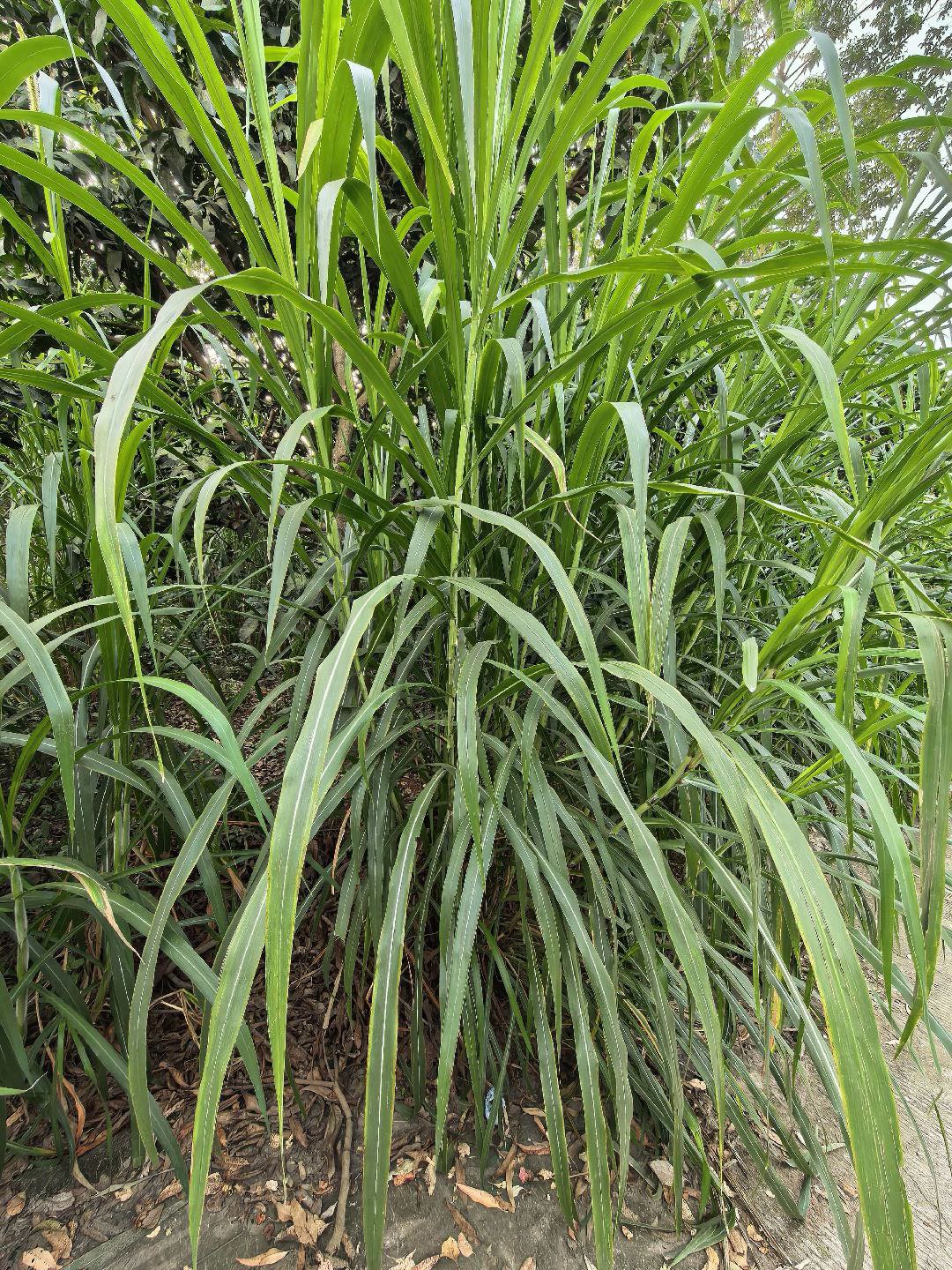 QQ圖片20260306143429.jpg QQ圖片20260306143429.jpg