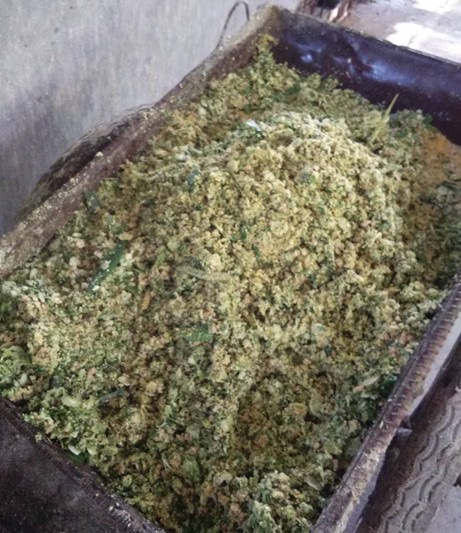 1712025821100659.jpg 1712025821100659.jpg