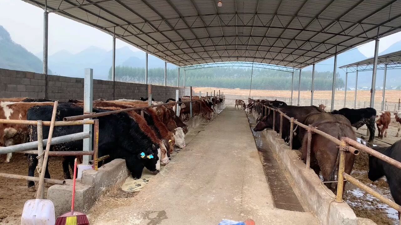 QQ圖片20230318114347.jpg QQ圖片20230318114347.jpg