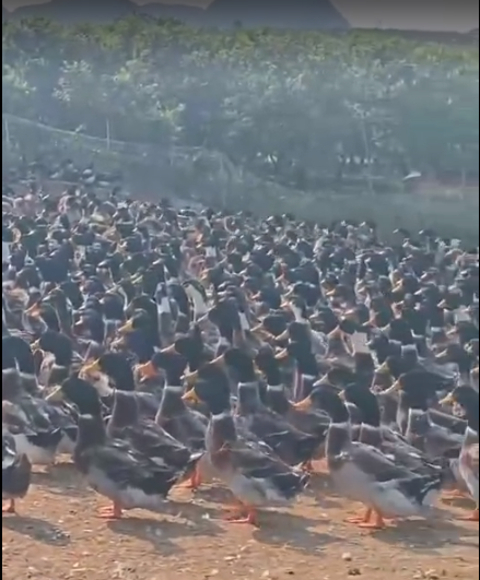 截圖20260319085438.png 截圖20260319085438.png