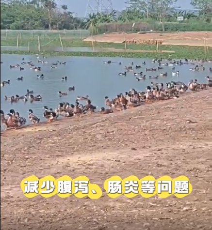 截圖20260319085722.png 截圖20260319085722.png