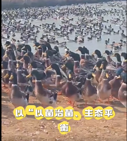 截圖20260319090251.png 截圖20260319090251.png