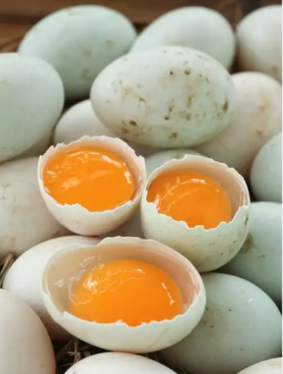 截圖20260319090718.png 截圖20260319090718.png