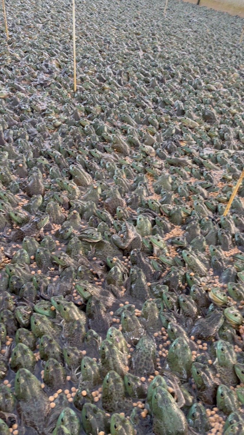 微信圖片_20260320090354.jpg 微信圖片_20260320090354.jpg