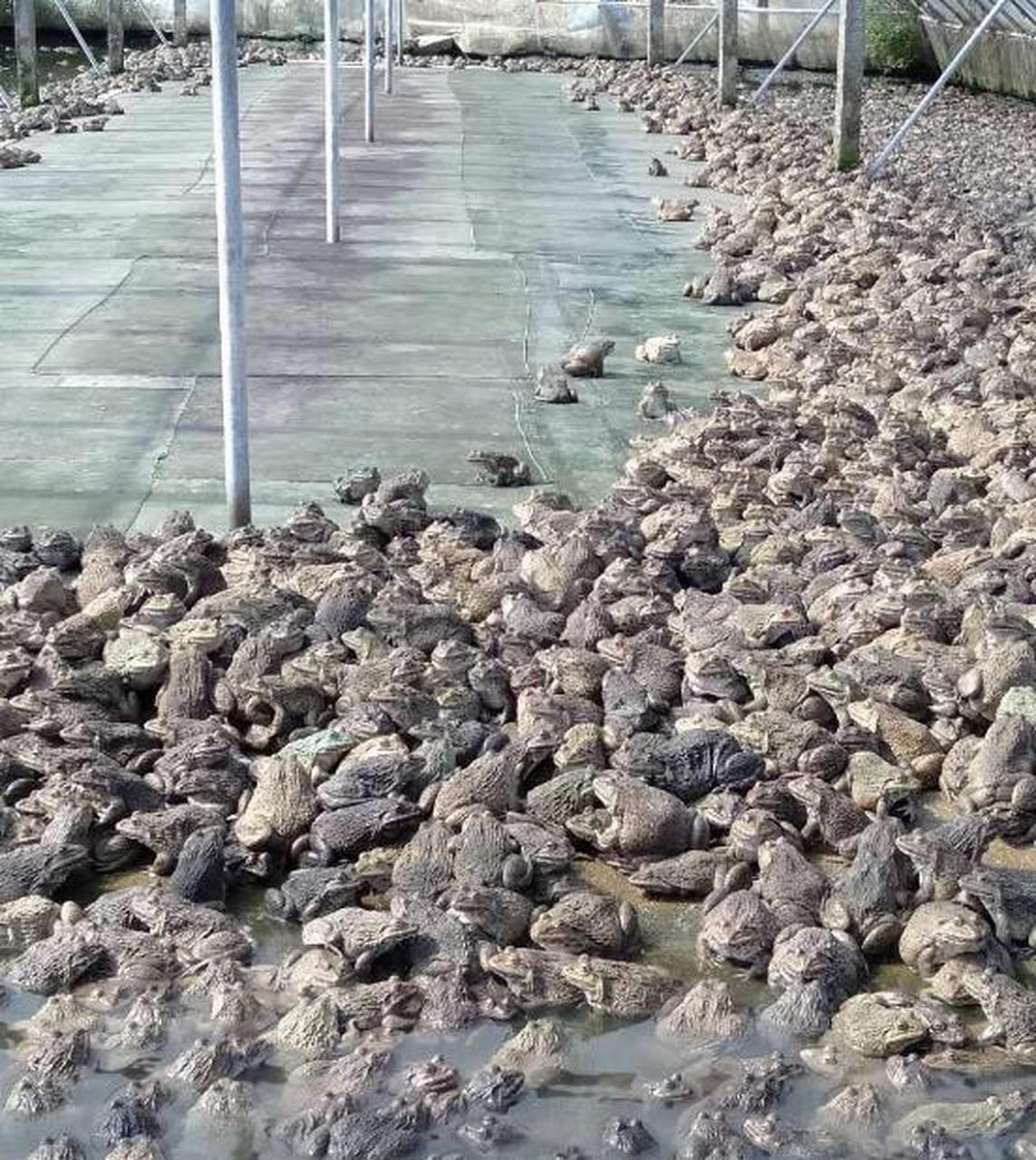 微信圖片_20260320090409.jpg 微信圖片_20260320090409.jpg