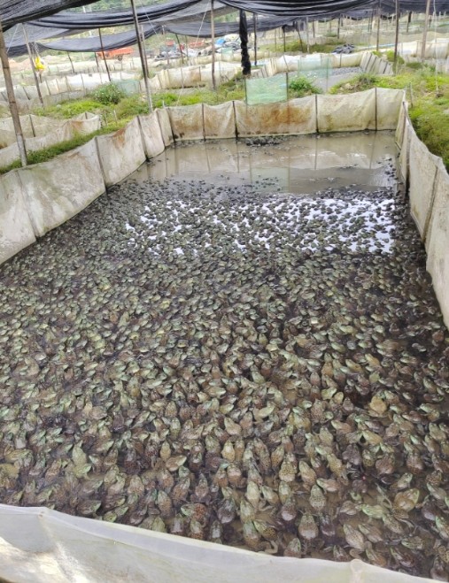 微信截圖_20260320090335.jpg 微信截圖_20260320090335.jpg