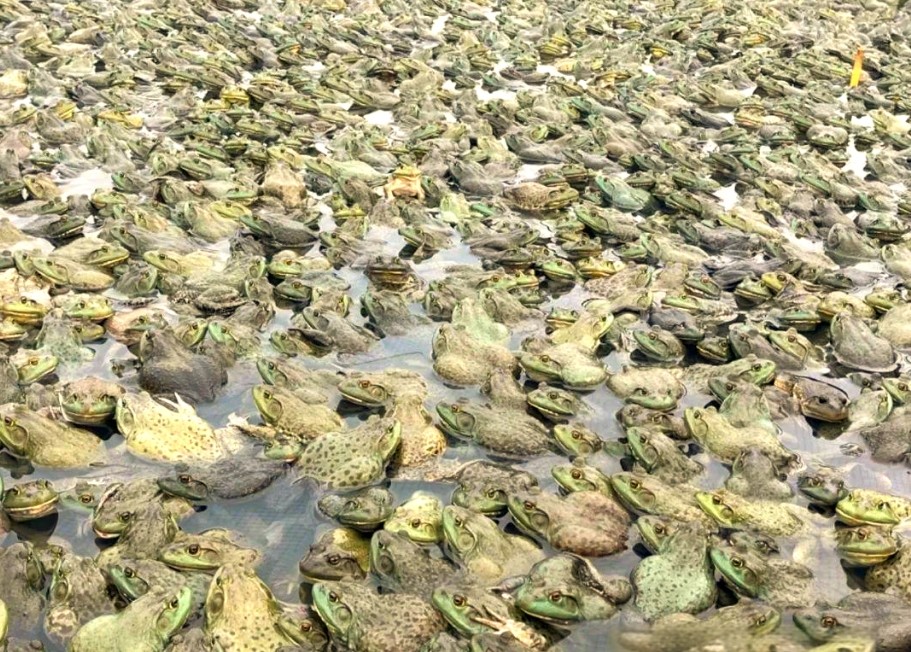 微信截圖_20260320090346.jpg 微信截圖_20260320090346.jpg