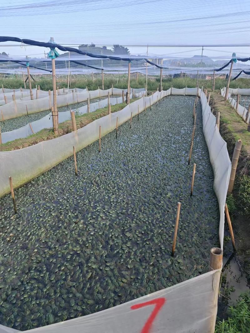 微信圖片_20260320090351.jpg 微信圖片_20260320090351.jpg