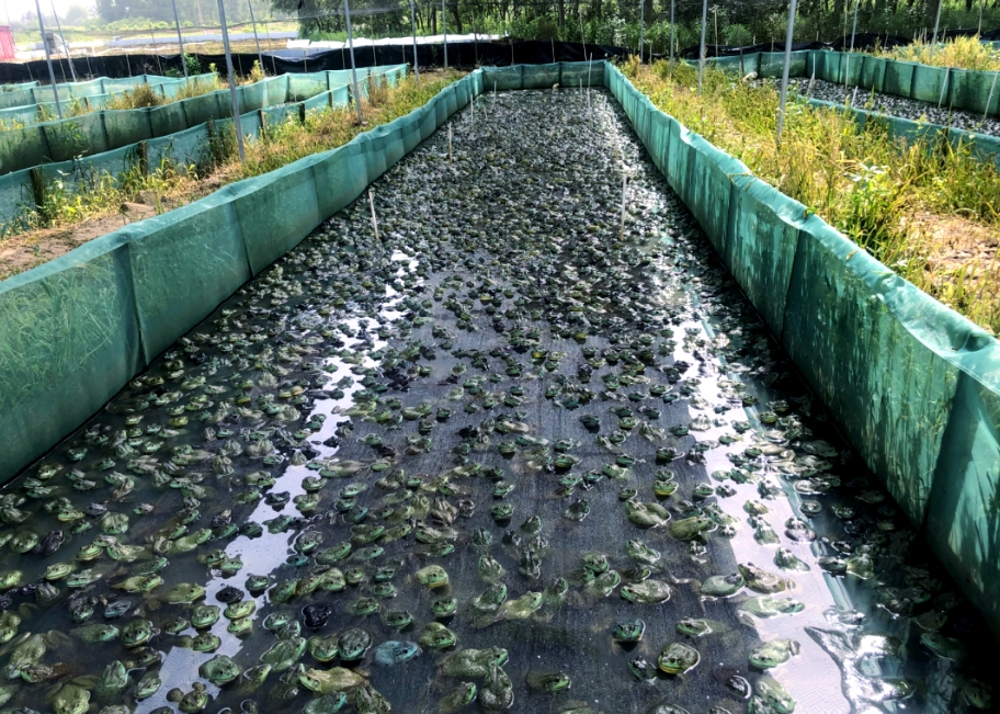 微信截圖_20260320090425.jpg 微信截圖_20260320090425.jpg