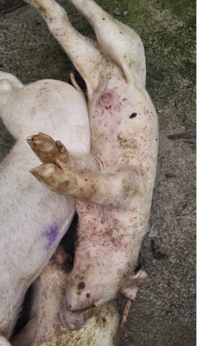 截屏2026-03-20 12.51.43.png 截屏2026-03-20 12.51.43.png