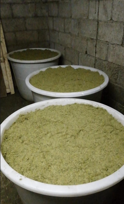 截圖20260321095503.png 截圖20260321095503.png