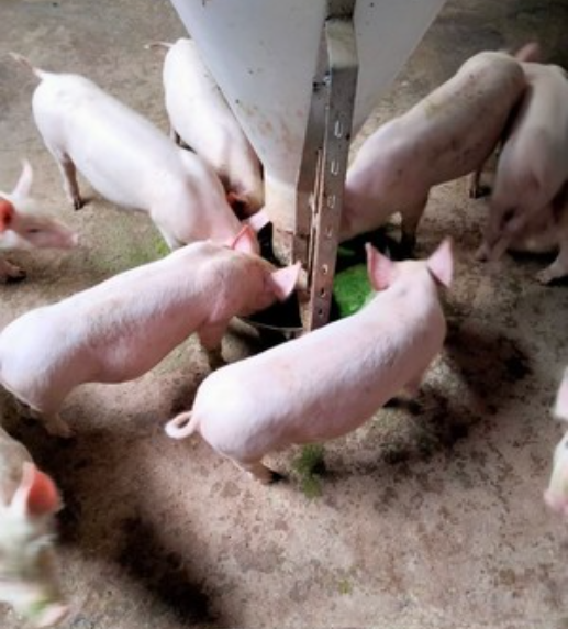 截圖20260321095206.png 截圖20260321095206.png