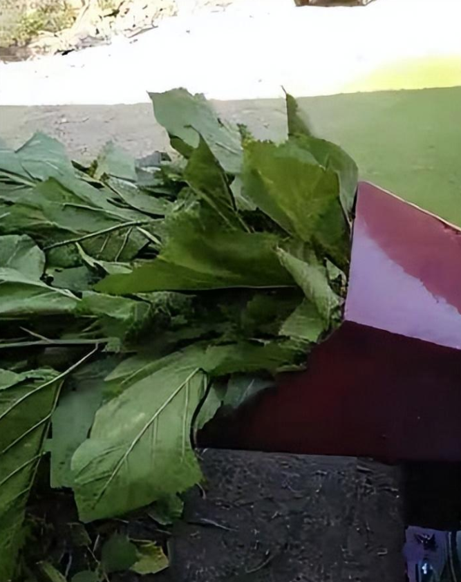 1687616636762781.png 1687616636762781.png