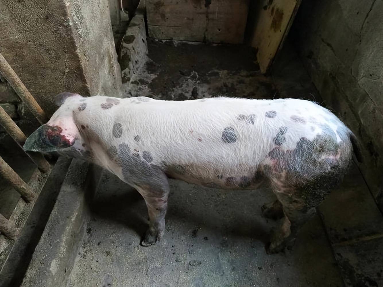 微信圖片_20260324090814.jpg 微信圖片_20260324090814.jpg