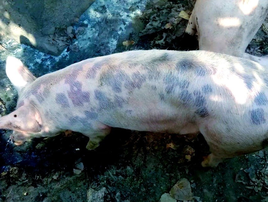 微信截圖_20260324090832.jpg 微信截圖_20260324090832.jpg