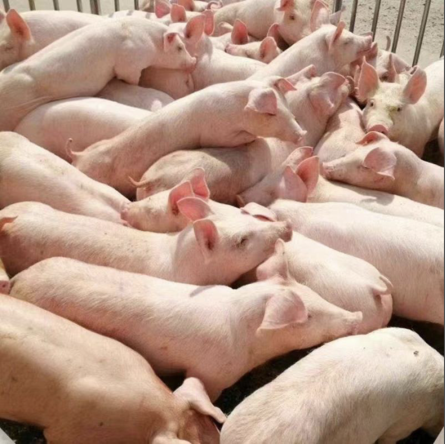 截屏2026-03-24 14.41.42.png 截屏2026-03-24 14.41.42.png