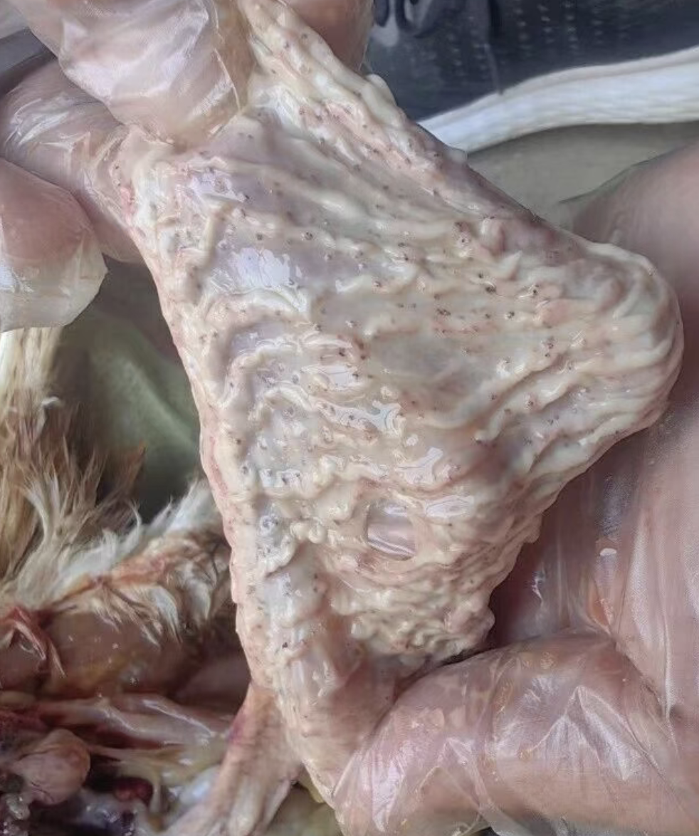 截屏2026-03-24 15.24.04.png 截屏2026-03-24 15.24.04.png