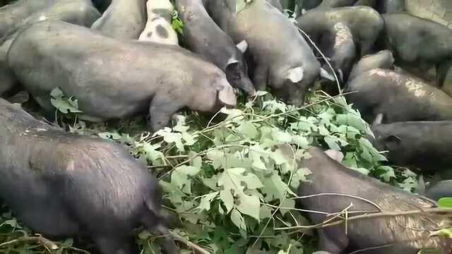 QQ圖片20260324142356.jpg QQ圖片20260324142356.jpg