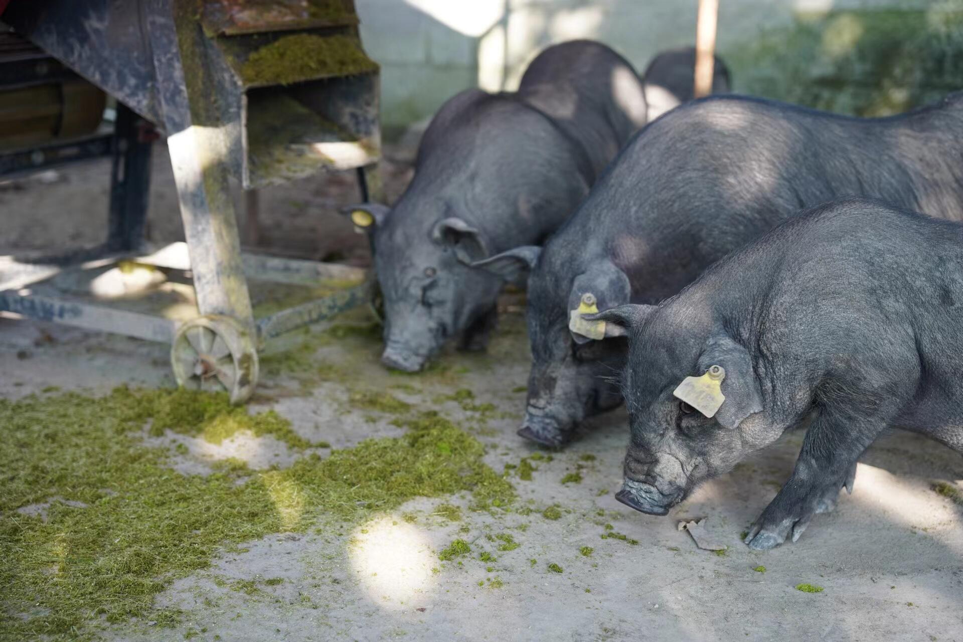 QQ圖片20260324155957.jpg QQ圖片20260324155957.jpg