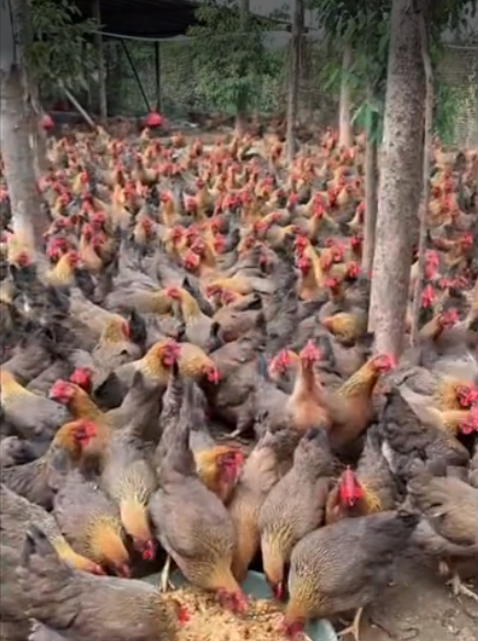 截圖20260326093616.png 截圖20260326093616.png