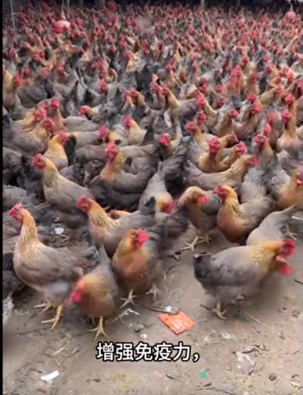 截圖20260326093849.png 截圖20260326093849.png