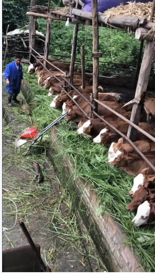 截屏2026-03-26 15.28.21.png 截屏2026-03-26 15.28.21.png