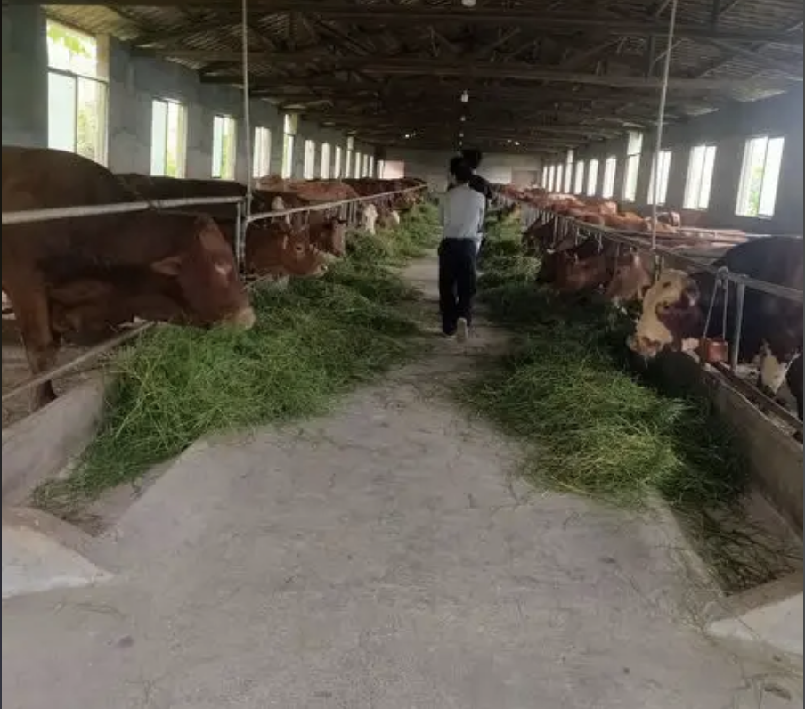 截屏2026-03-26 15.30.15.png 截屏2026-03-26 15.30.15.png