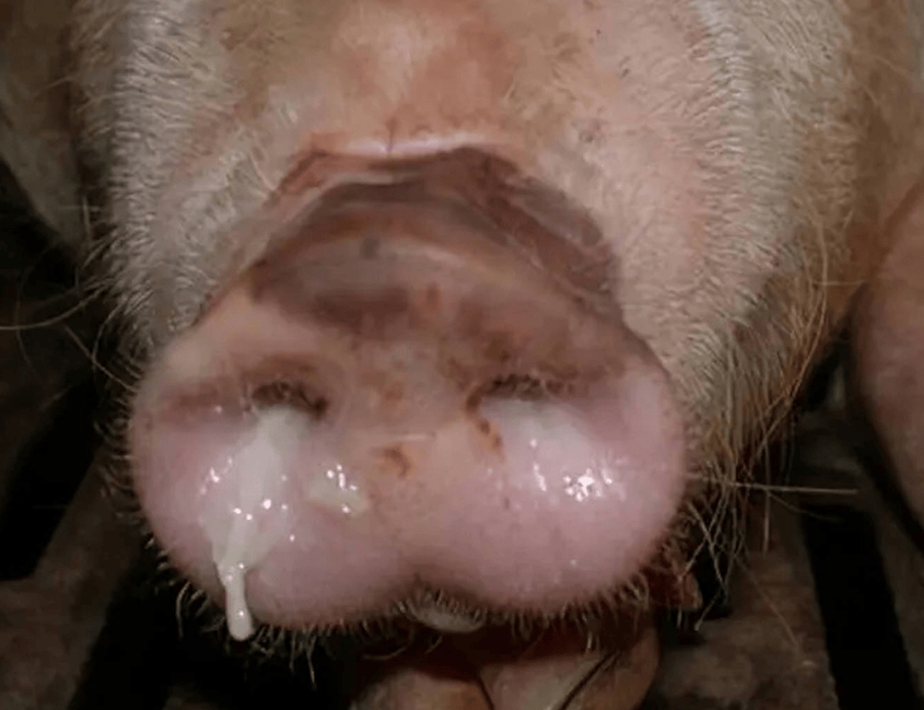 微信截圖_20260330091337.jpg 微信截圖_20260330091337.jpg