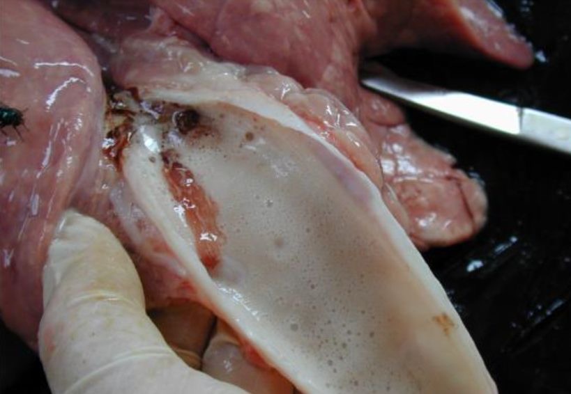 微信圖片_20260330091320.jpg 微信圖片_20260330091320.jpg