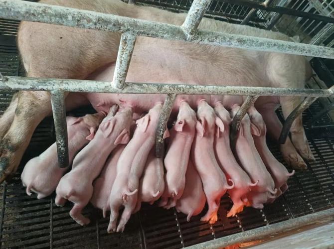 微信圖片_20260330101038.jpg 微信圖片_20260330101038.jpg