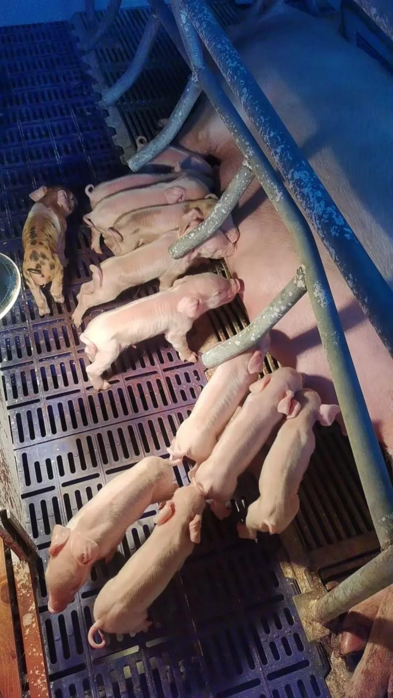 微信圖片_20260330101035.jpg 微信圖片_20260330101035.jpg