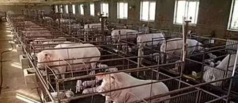 QQ圖片20260330101238.png QQ圖片20260330101238.png