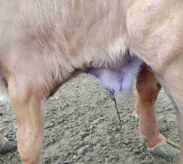 截圖20260330162152.png 截圖20260330162152.png