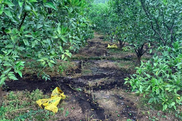 截圖20260331104918.png 截圖20260331104918.png