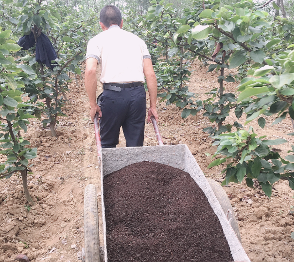 截圖20260331105100.png 截圖20260331105100.png