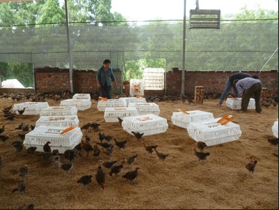 88d2798142c1365b71083c5a42d5aee6_17743172514278425.png 88d2798142c1365b71083c5a42d5aee6_17743172514278425.png