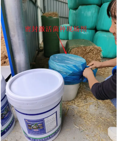 6a1fc1cd015ed1eb217f4b099e47c001_17743173531456998.png 6a1fc1cd015ed1eb217f4b099e47c001_17743173531456998.png