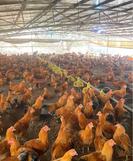 765e77f83f589fdc98d19a4937de87cf_17743175291321729.png 765e77f83f589fdc98d19a4937de87cf_17743175291321729.png