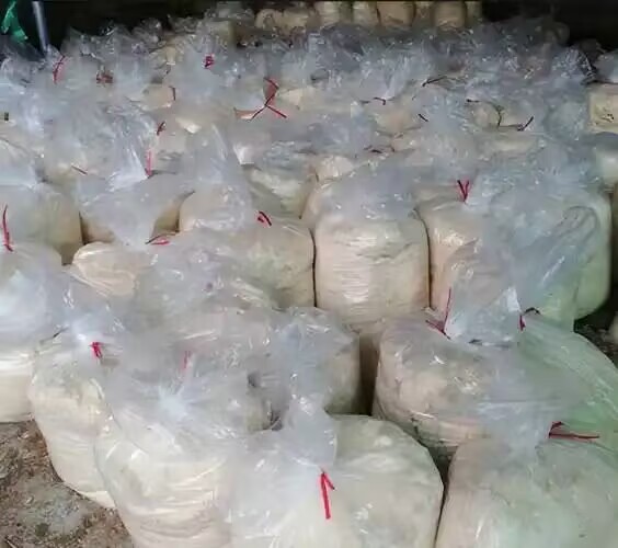 a01405a36bb007135add8bb11a20f822.jpg a01405a36bb007135add8bb11a20f822.jpg