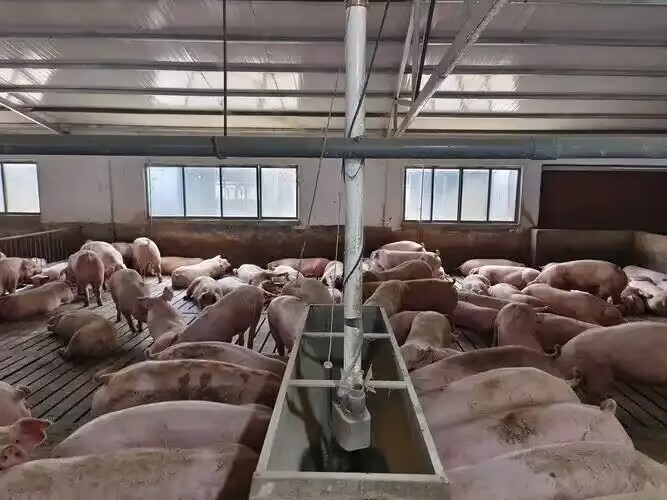 4050214466e13bbb848fecddfafe8014.jpg 4050214466e13bbb848fecddfafe8014.jpg