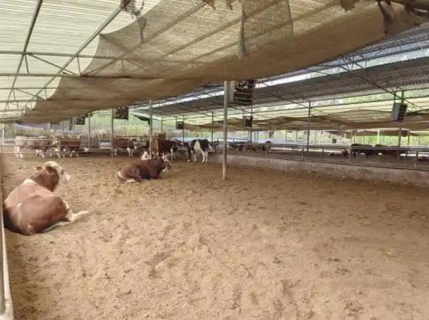 QQ圖片20260407160507.jpg QQ圖片20260407160507.jpg