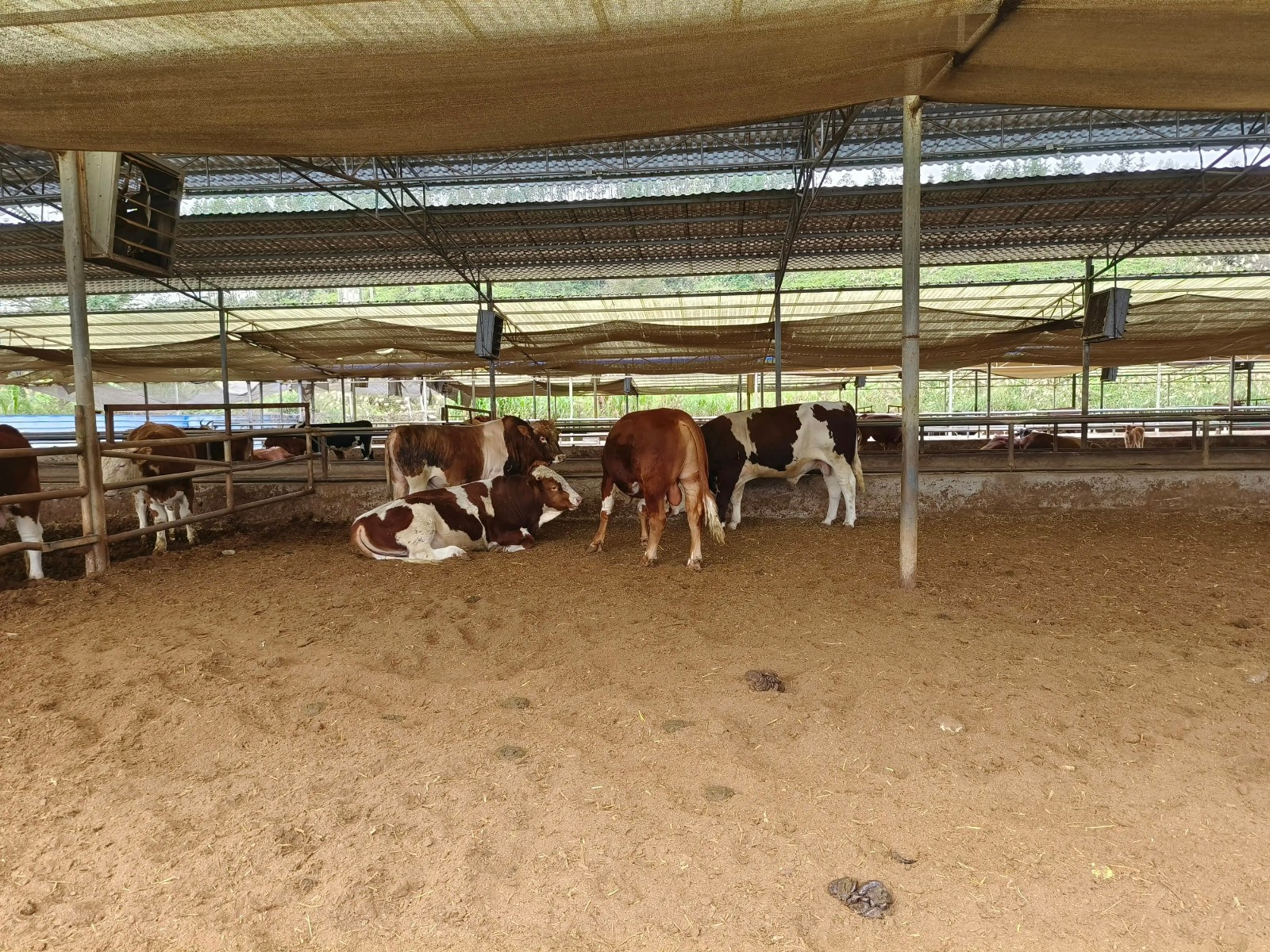 QQ圖片20260407160545.jpg QQ圖片20260407160545.jpg