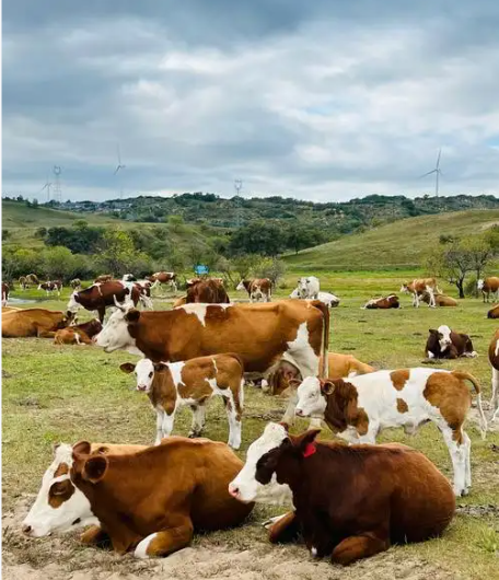 截圖20260408092805.png 截圖20260408092805.png