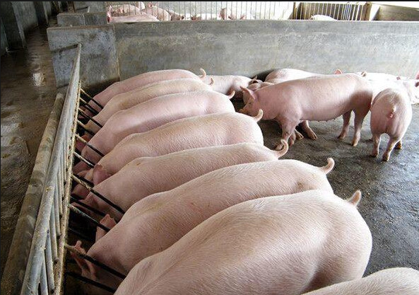 截圖20260409162437.png 截圖20260409162437.png